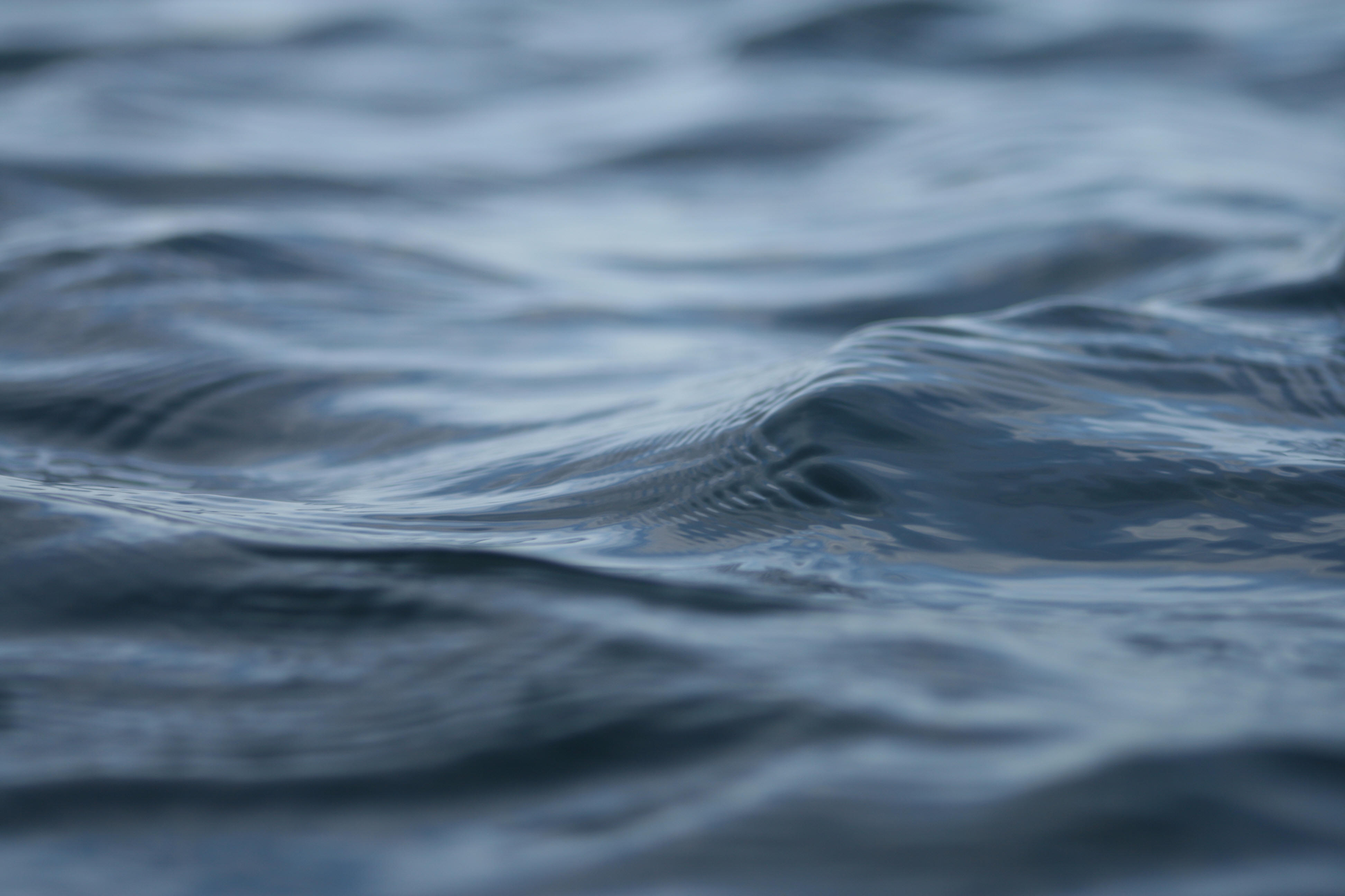 Undersea analysis